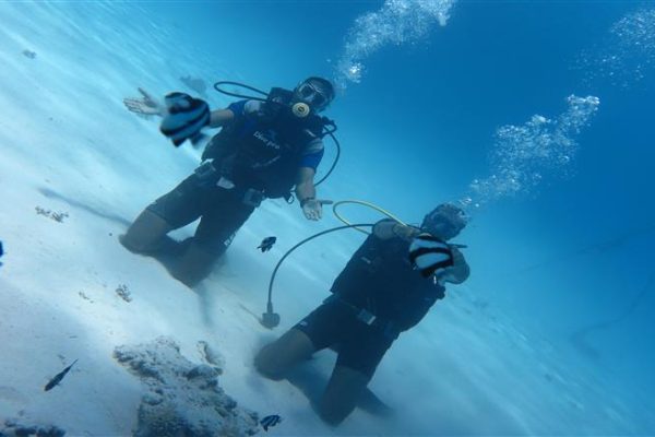 Scuba Diving with license