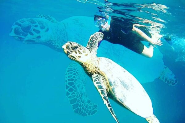 Abu Dabbab Bay Turtle Bay Snorkeling – 1Day