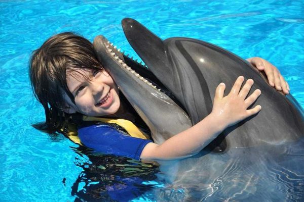Swimming With Dolphin+ Show