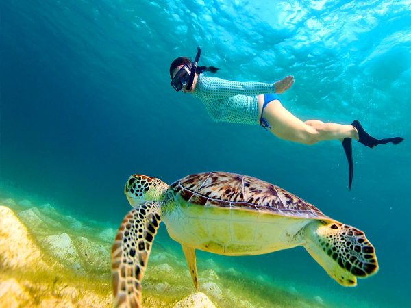 Snorkeling Orange Bay